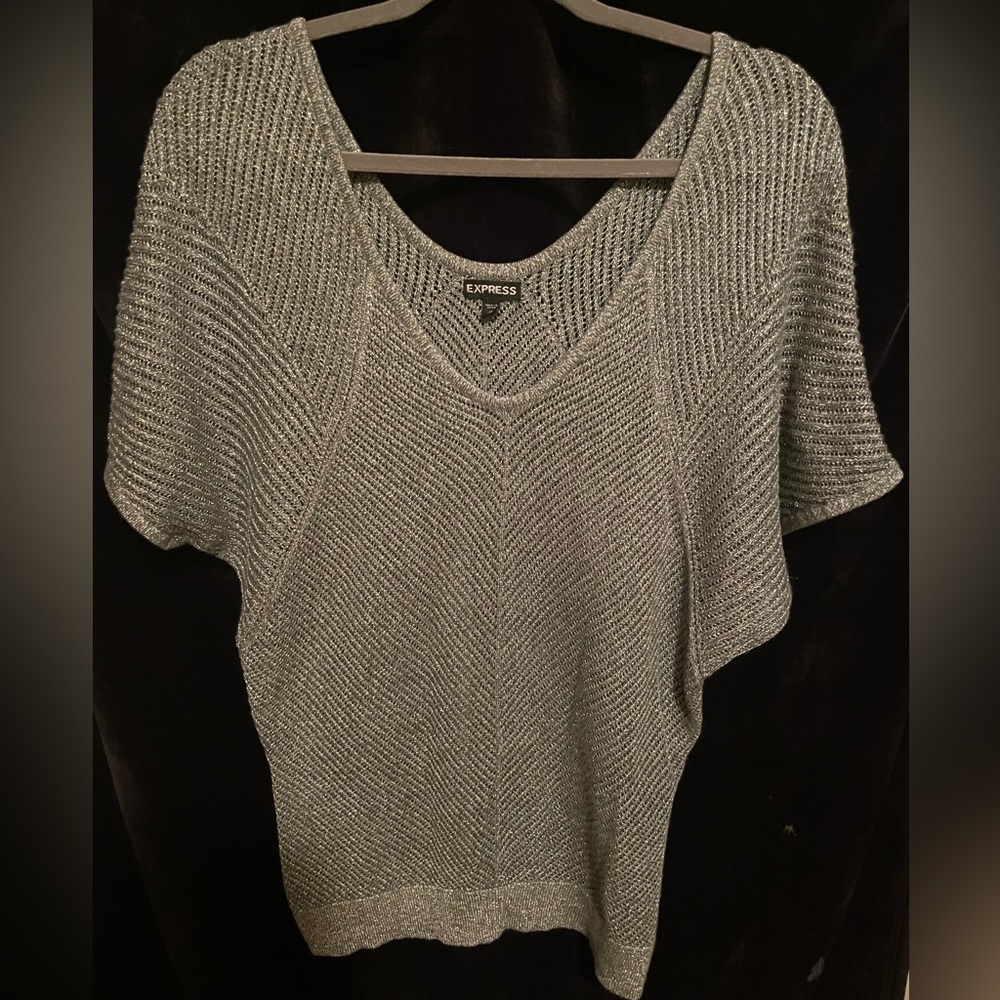 Express Silver/ Metallic Mesh Knit Slouchy Top, Medium